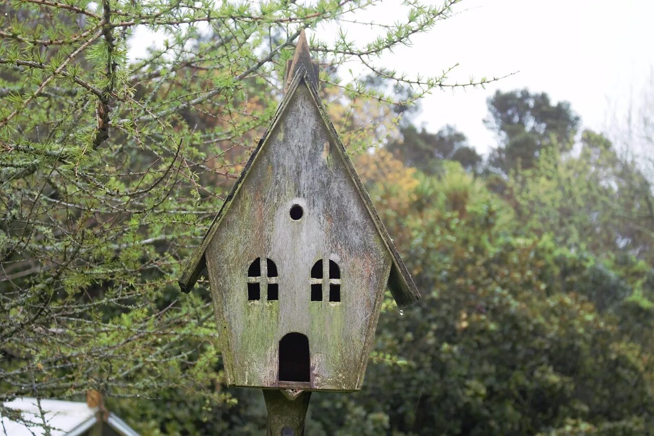 Home bird. Фламандские скворечники. Скворечник фахверк. Необычные скворечники. Первые скворечники.