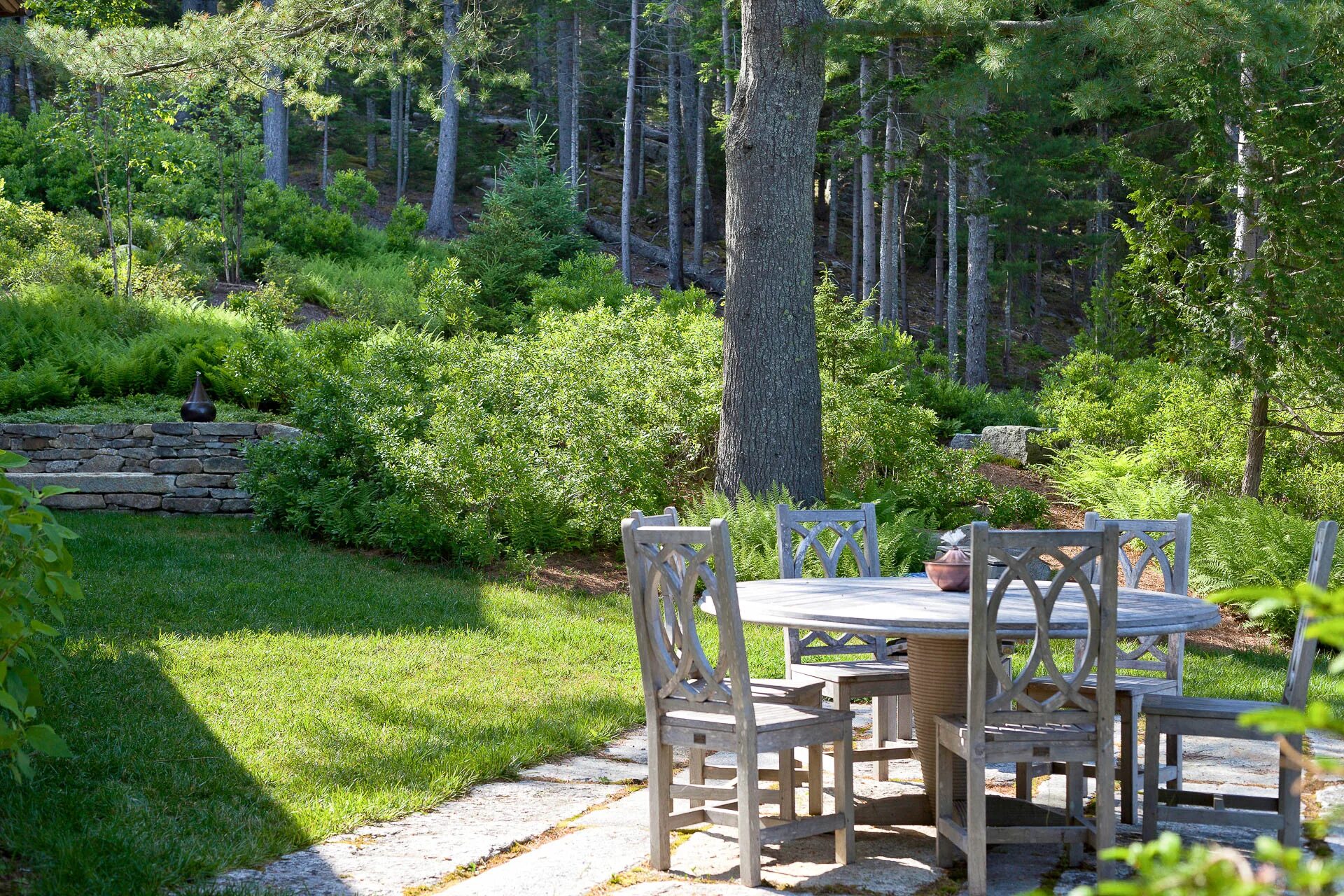 сосна обыкновенная крупномер. сосна орегон грин. сосна горная мугус в миксбордере. ель обыкновенная солитер. сосна горная ниваки.