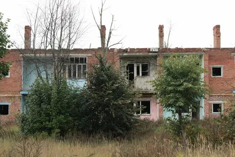 Погода моховое