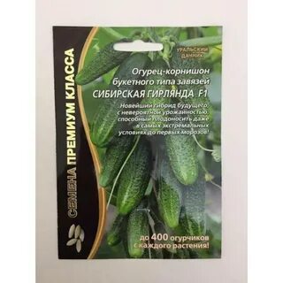 Сибирская гирлянда