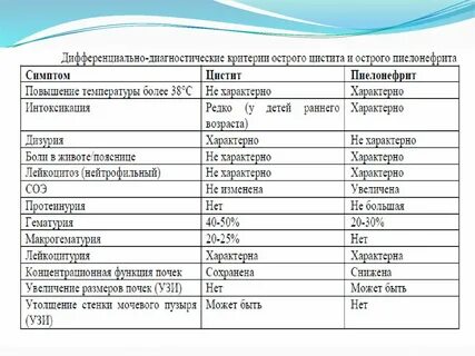 Анализ мочи при цистите