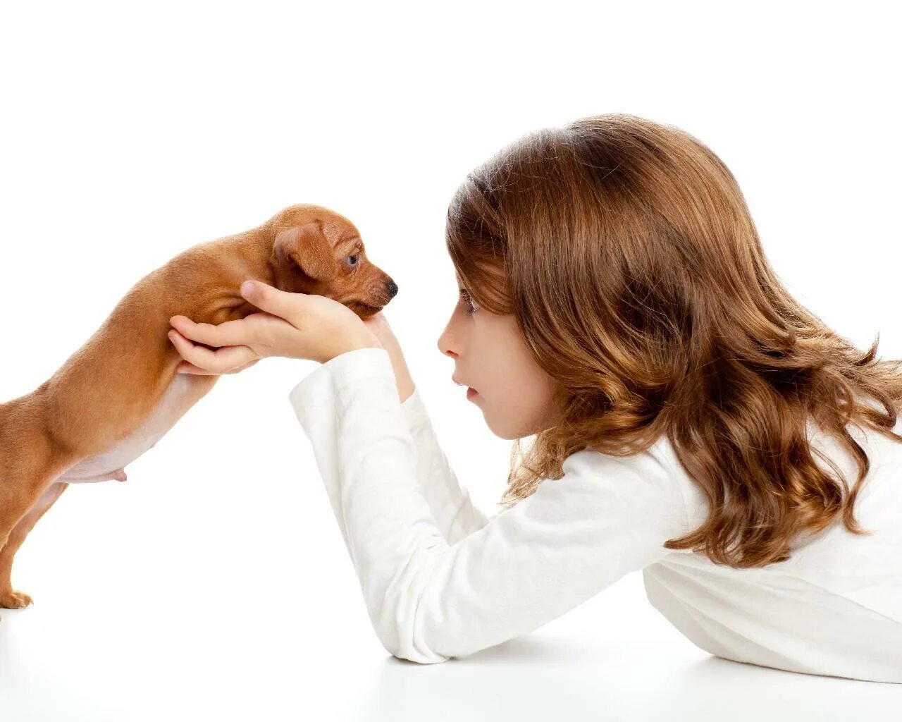 Девушка с овчаркой. Маленькая девочка с собачкой. Фотосессия с собакой на улице. Собака девочка делает движения. Ребенок бежит с собакой.