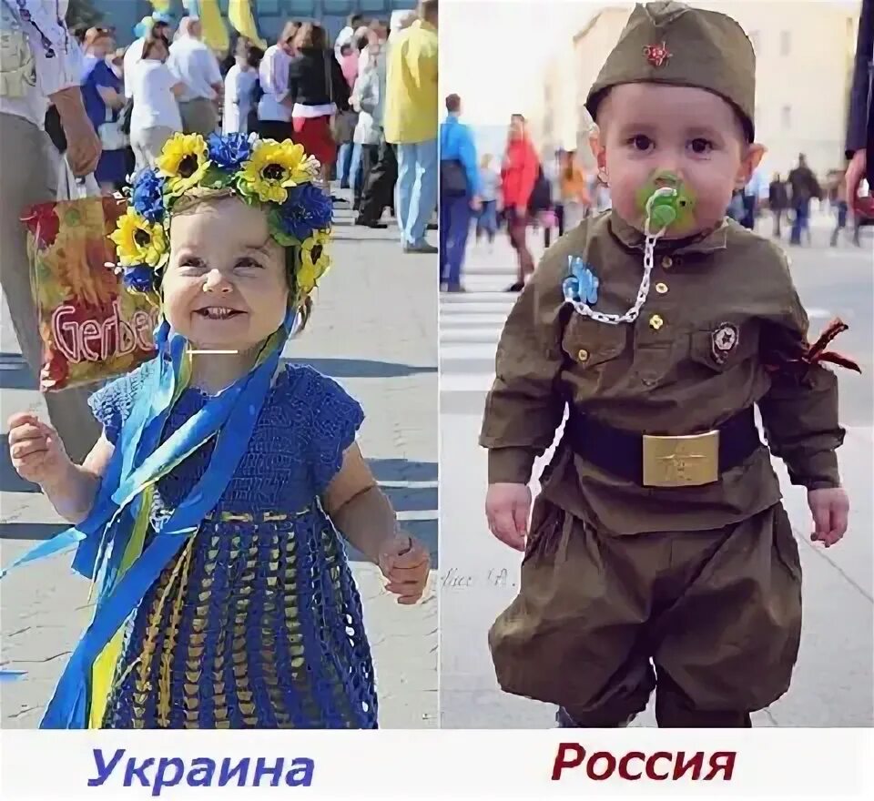 Свидомитов нет