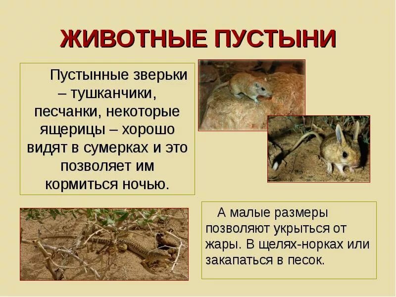 Численность тушканчиков и варанов как изменится