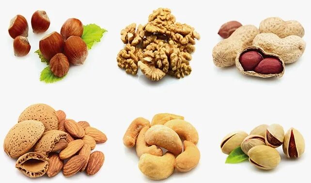 В орехах много белка. Белок в орехах. Высокобелковые орехи. Орехи для белки. Самые белковые орехи.
