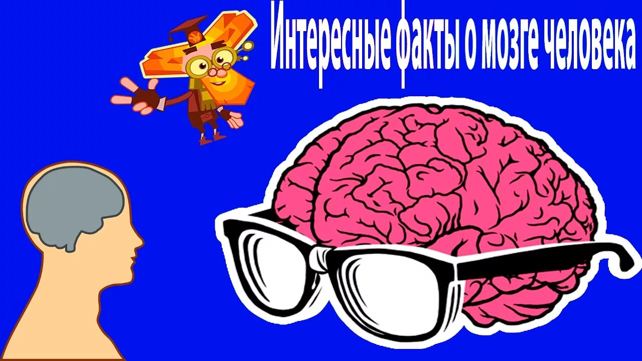 Факты про мозги. Интересные факты о мозге. Интересные факты о человеческом мозге.