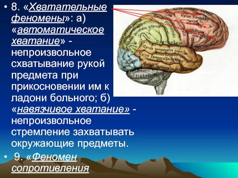 Центры в теменной доле. Локализация функций в коре лобной доли. В коре затылочной доли расположен центр. Центры лобной доли.