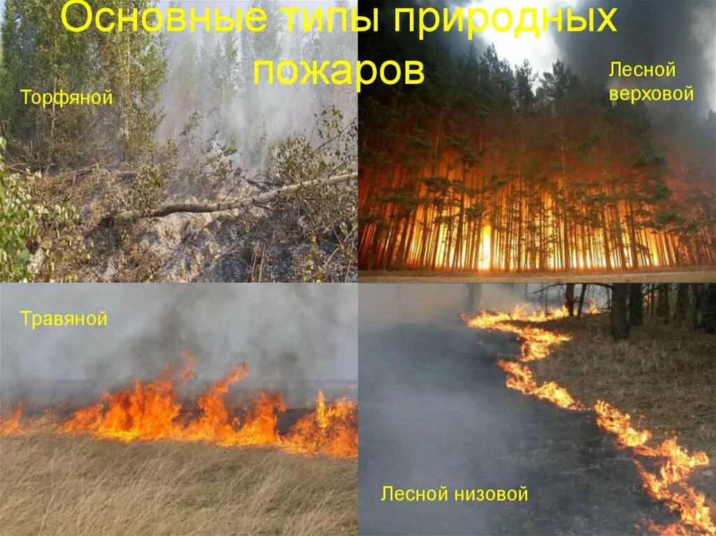 Пожары верховые низовые торфяные