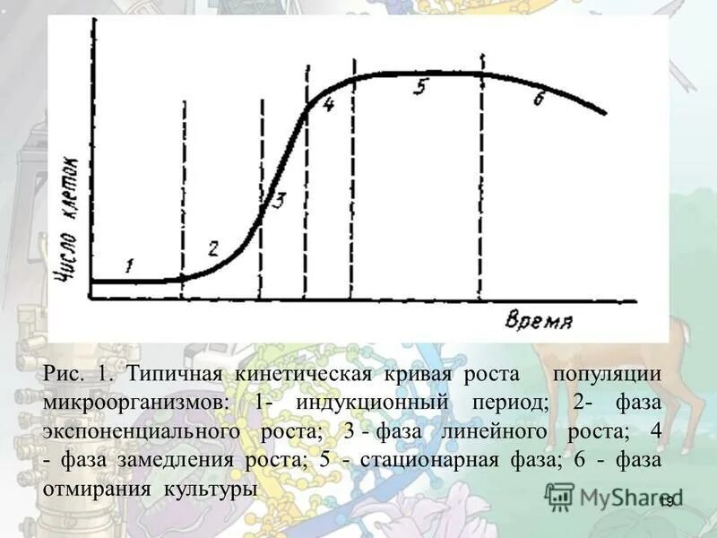 Стационарная кривая