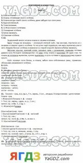 Комплексный анализ текста волшебная осень парков