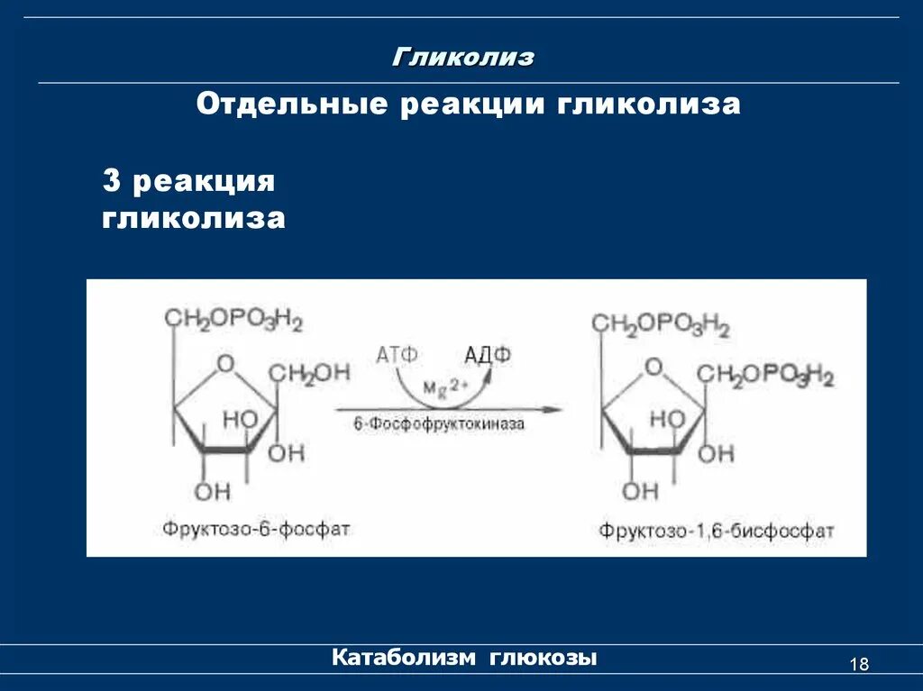 3 реакция гликолиза