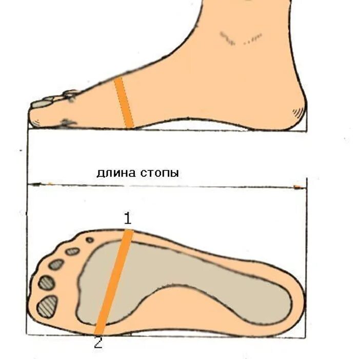 Как определить полноту стопы для обуви. Как измерить полноту и размер ноги. Как замерить полноту ноги для обуви. Как измерить полноту ноги для туфель. Замер стопы для обуви.