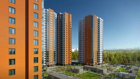 Пик митинский лес сайт