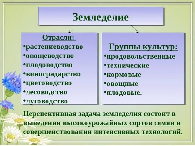 Земледелие основные культуры