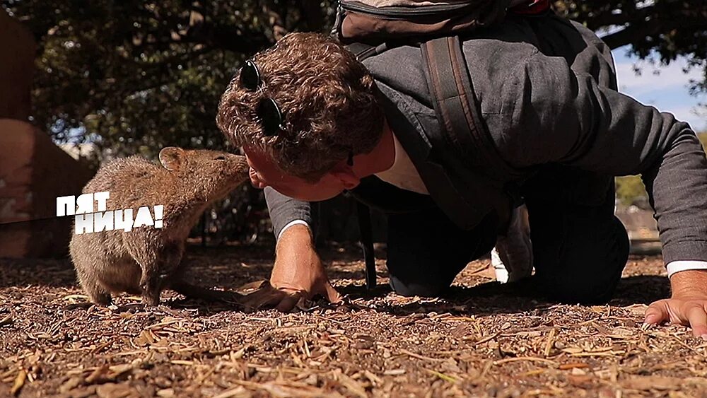 Орел и решка мельбурн. Орел и решка австралия. Западная австралия орел и решка. Западная австралия орел и решка. Гамаюн орел и решка.