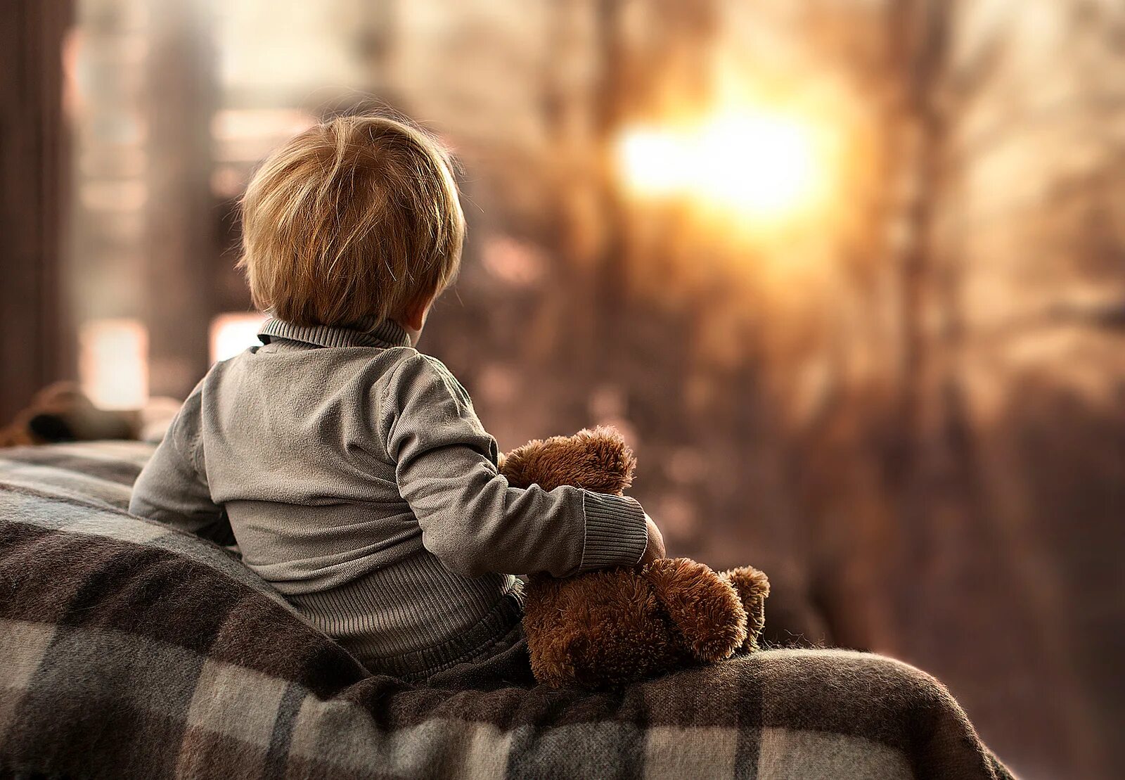 Мальчик со спины. Ребенок со спины. Мишка для детей. Малыши со спины. Мальчик сидит спиной.