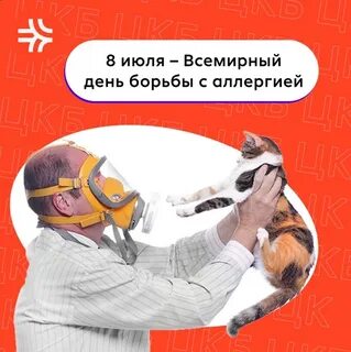 Всемирный день против аллергии