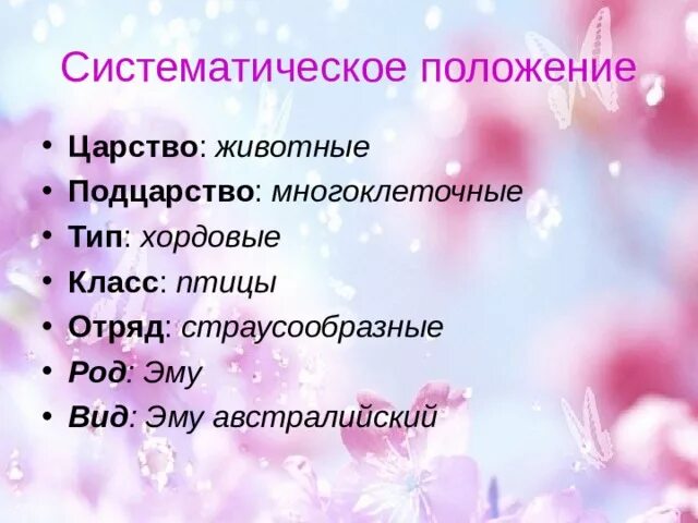 Систематическое положение животных. Систематическое положение животных