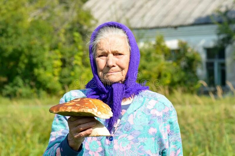 Бабушка одела внучку. Деревенская бабушка. Бабушка с малиной. Бабушка в огороде. Собрать бабушку.