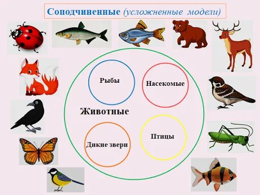 Игра классификация животных