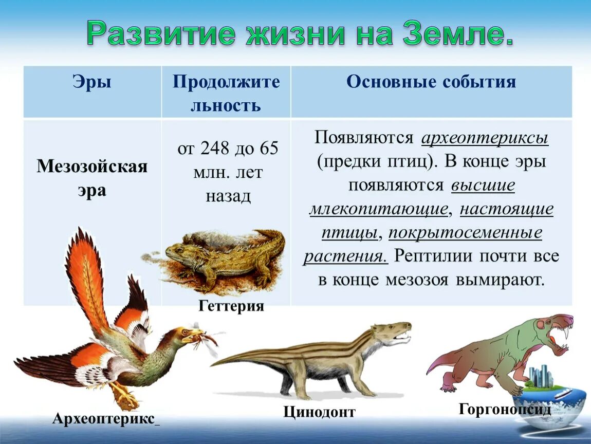 Ранние этапы развития жизни. Этапы развития жизни на земле. Развитие жизни насземле. Развитие жизни на змел. Основные этапы эволюция жизни