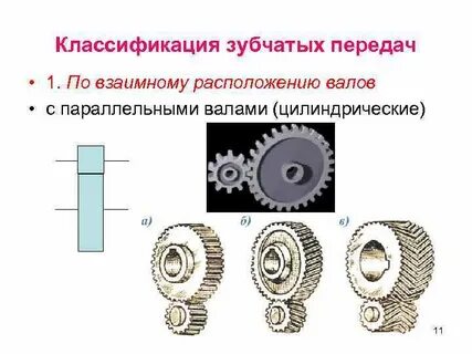 Классификация зубчатых