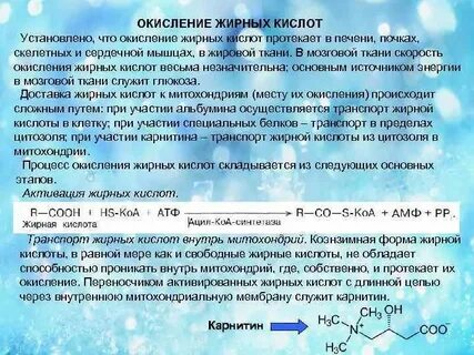 Окисление жиров