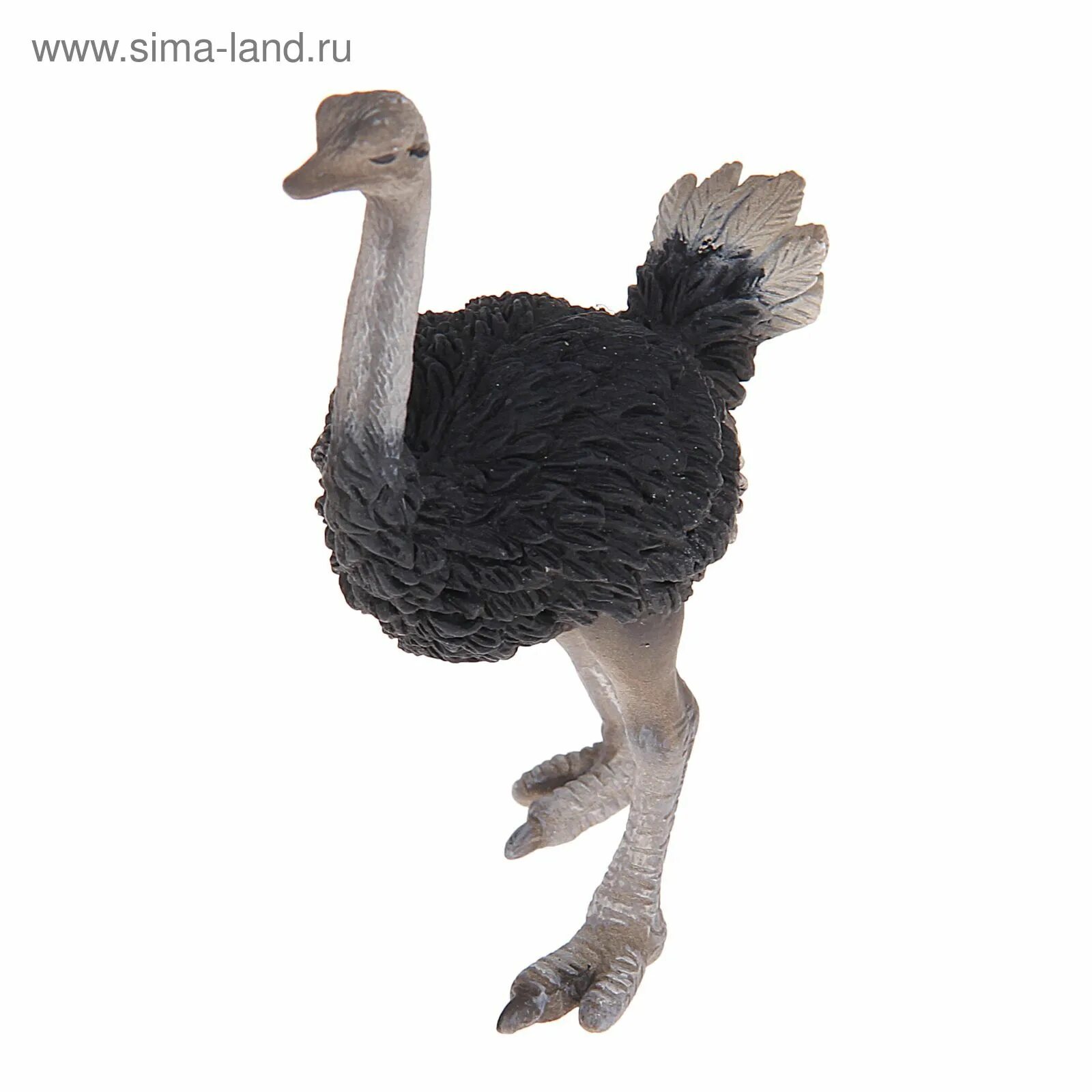 Schleich страус. Садовая фигурка страус. Шляйх страусиное гнездо. Страус фигурка. Магазин страус.