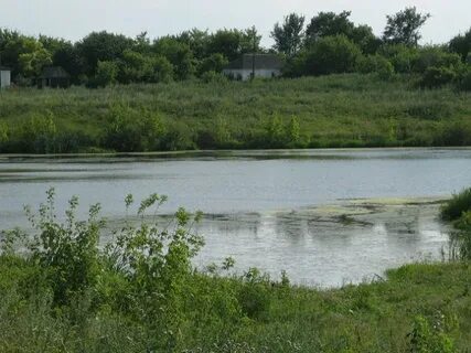 Курская область село красная долина погода