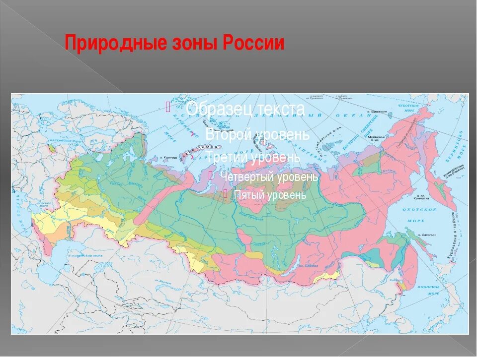 Карта природных зон России. Природные зоны России презентация. Карта природных зон России 4 класс. Карта природных зон России без названий.