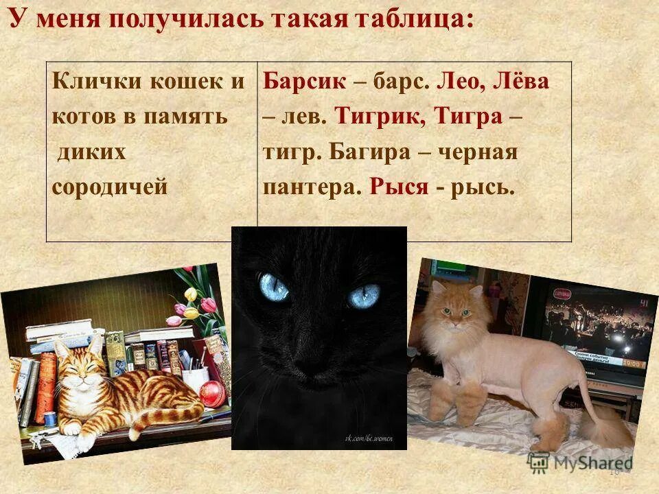 Клички кошек и котов. Клички для кошек. Имена для кошек девочек. Имена для котов мальчиков. Оригинальные имена для котов.