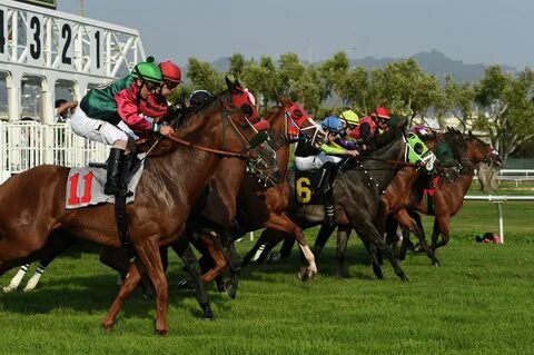 Horse race betting