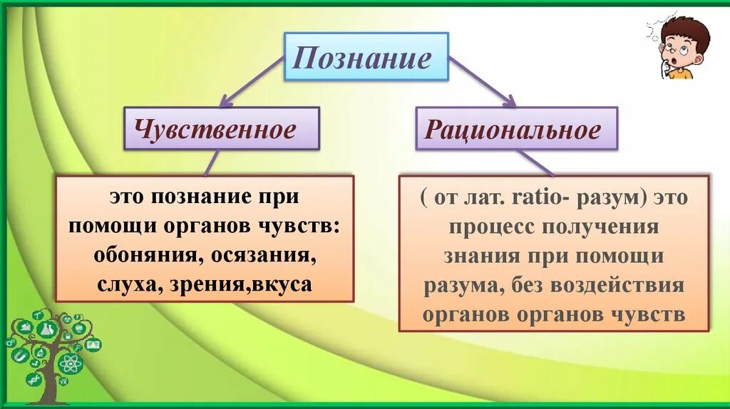 Чувственное познание познание с помощью. Чувственное и рациональное познание. познание при помощи органов чувств. чувства познания в обществознании. чувственное познание это в обществознании.