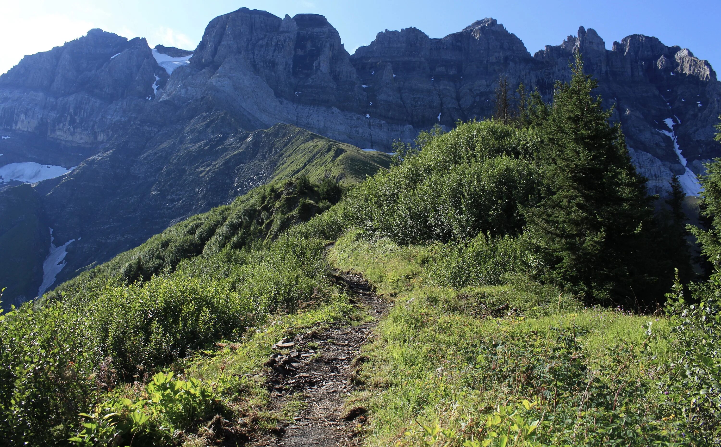 Тбилиси горная тропа. Мадейра горная тропа. Тропинка в горах. Горный алтай склон тропинка лес. Горы тропы.