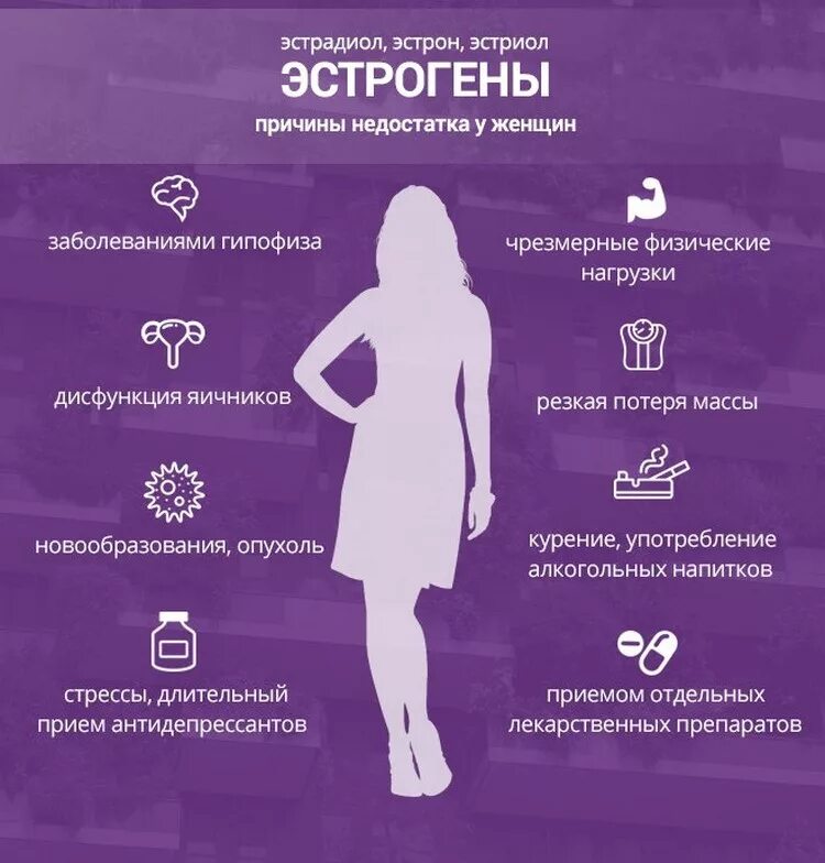 Как называют женскую половую