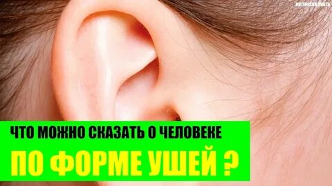 Скажи ухо