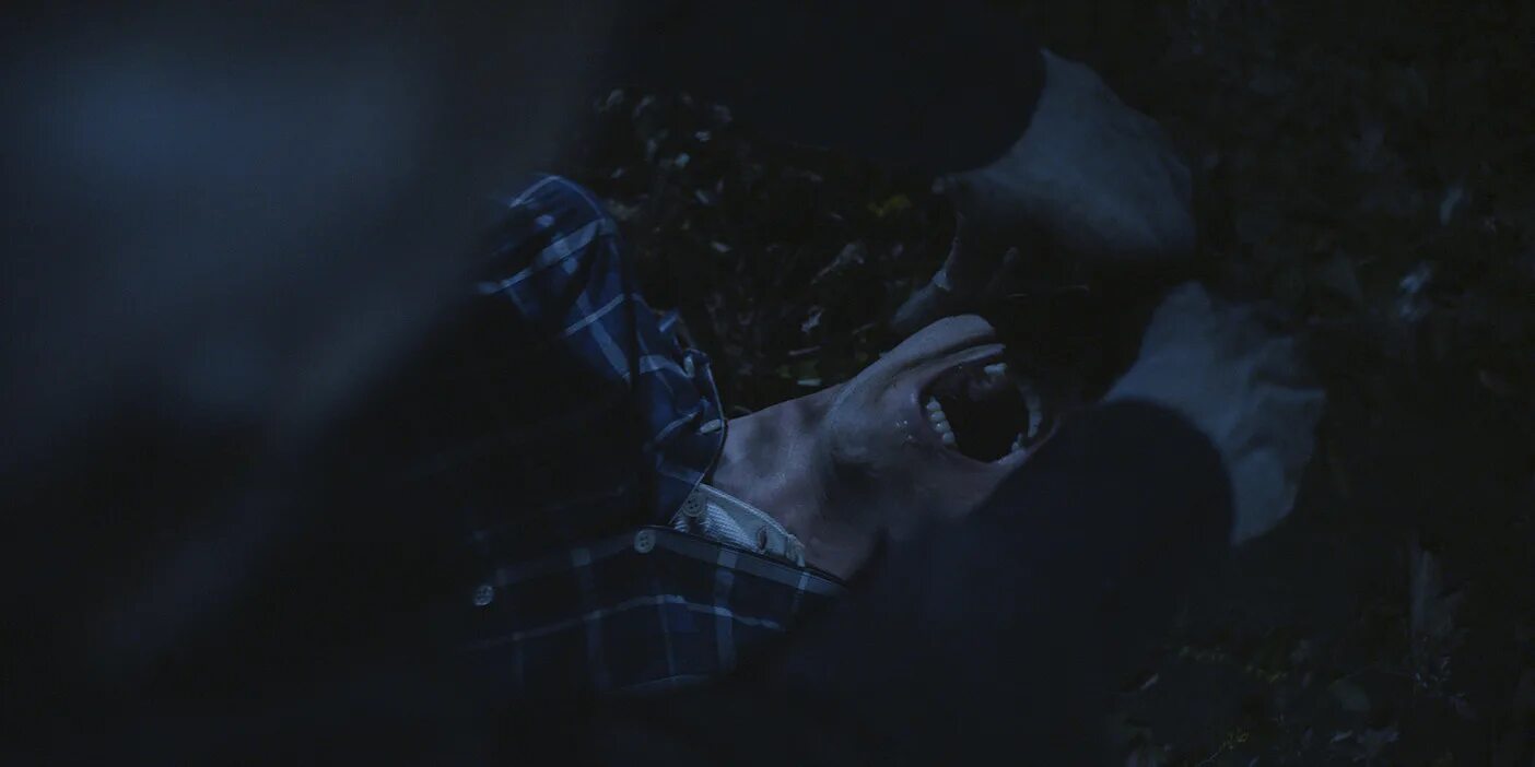 Фильм пожиратели 2011 года. Пожиратели андрюха. Пожиратель горько пожиратель. Монстры тревора хендерсона. Монстр тревора хендерсона сиреноголовый.