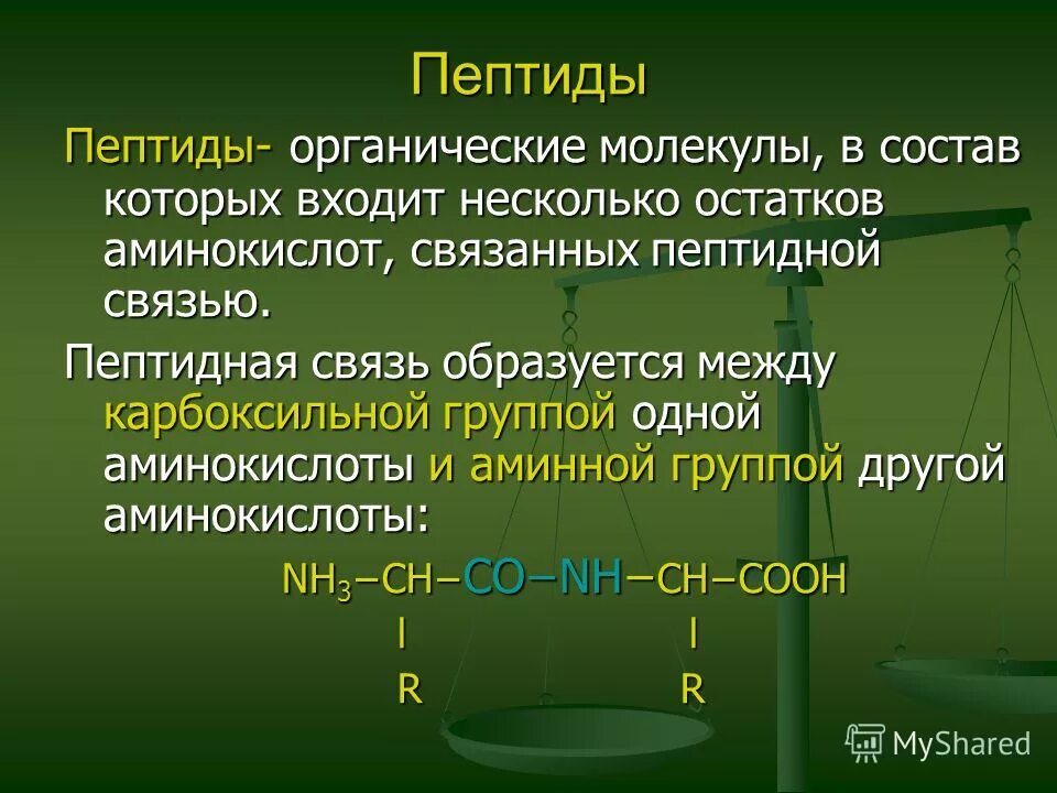 Полипептиды свойства. Пептиды. Пептиды это. Понятие о пептидах. Пептидная связь и полипептиды.