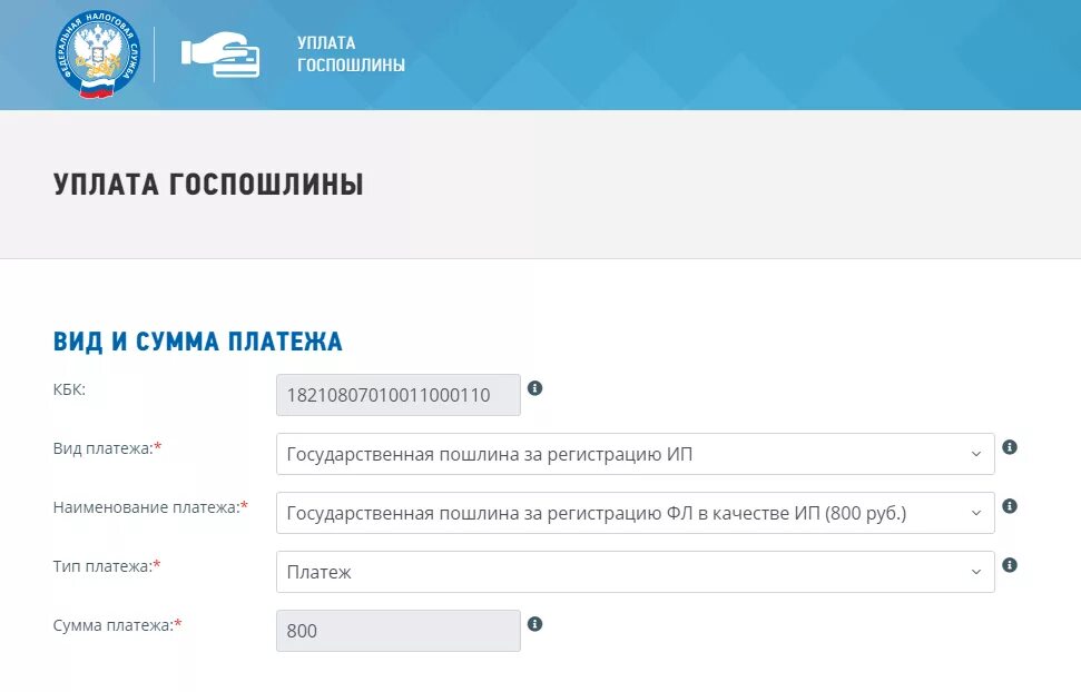 Уплата госпошлины. Уплата государственной пошлины. Уплата госпошлины ИП. Госпошлина регистрация ИП реквизиты.