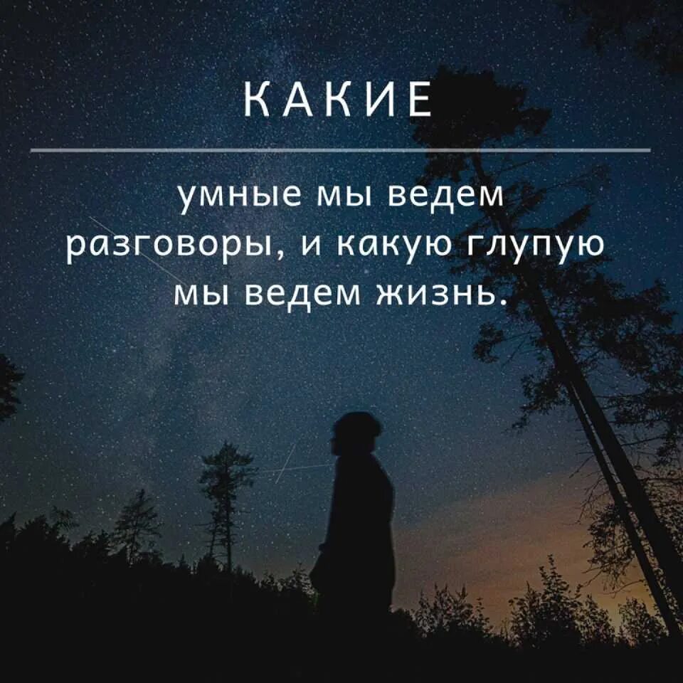 Глупый живо. Умный разговор. Какие умные мы ведем разговоры. Какой умный. Какие умные мы ведем разговоры и какую глупую мы ведем жизнь.