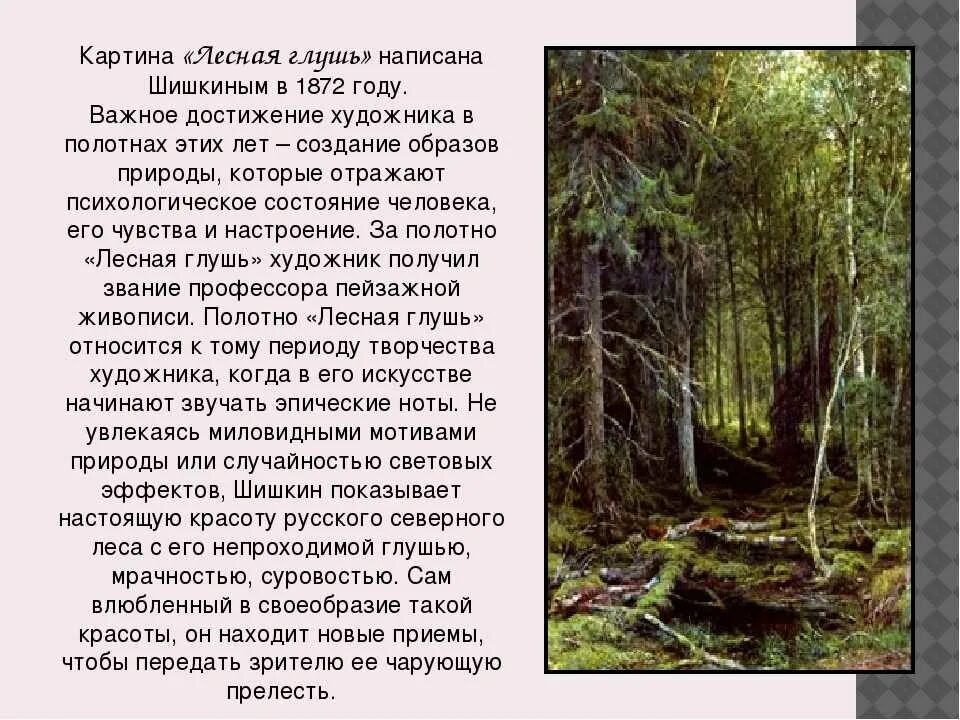 В чащу леса составить предложение со словами. В чащу леса составить предложение со словами