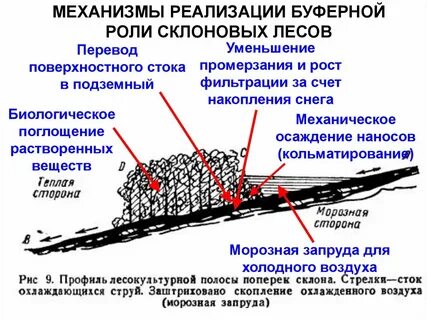 Поверхностный режим