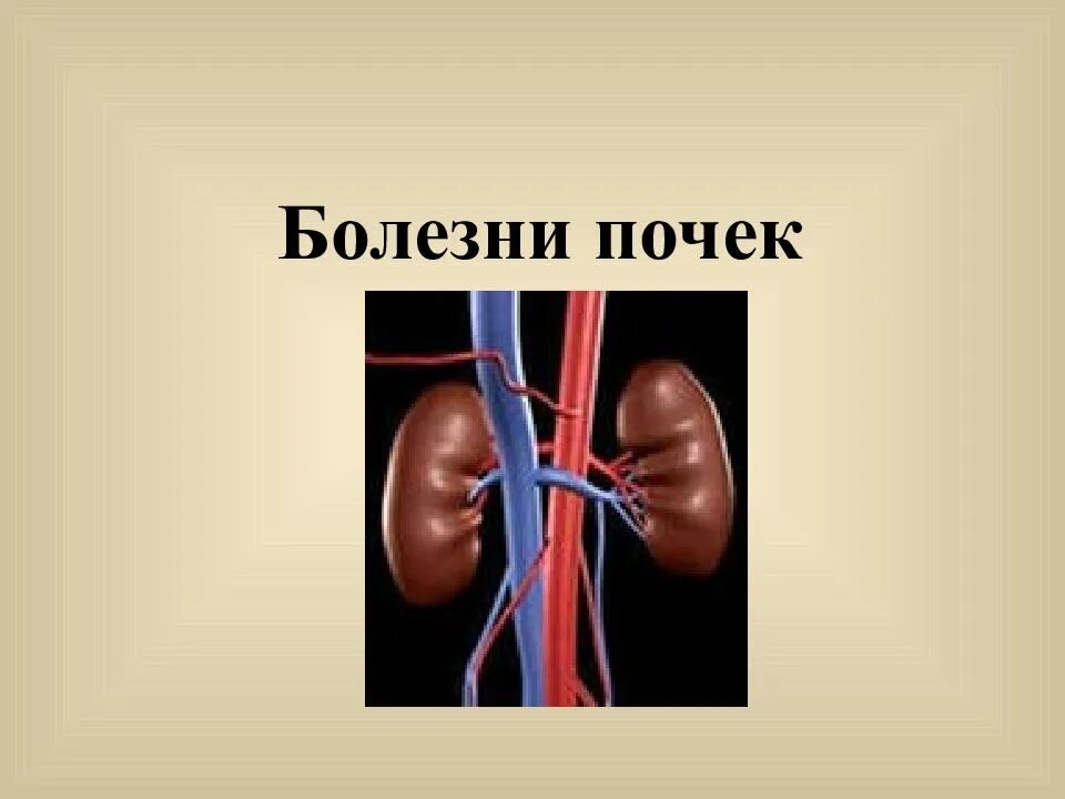 Причины заболевания почек биология. Заболевание почек презентация. Болезни почек презентация. Почки для презентации. Презентация на тему заболевания почек.