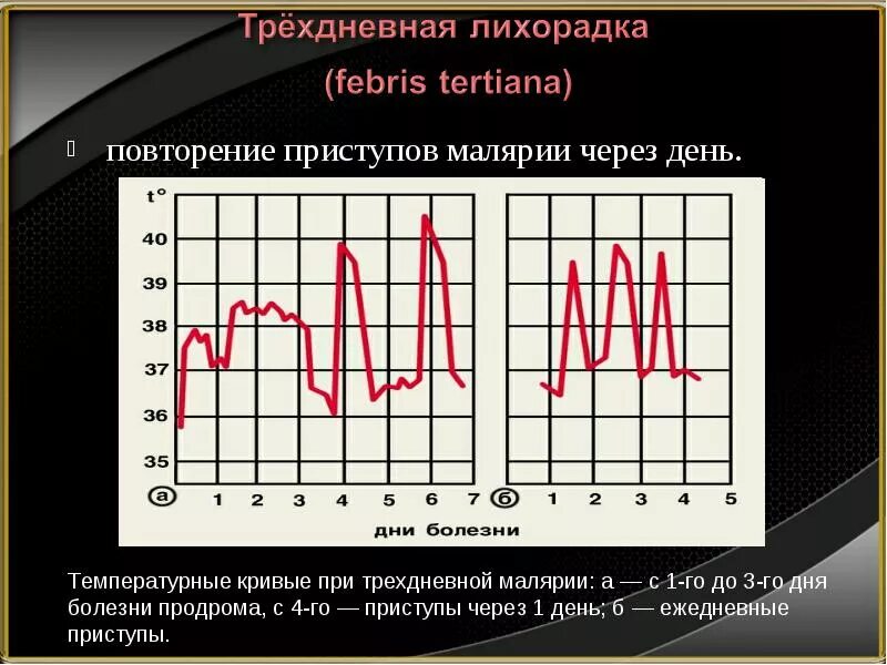 Построение температурной кривой алгоритм