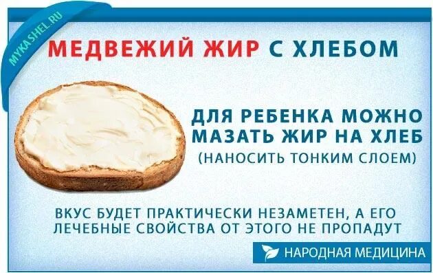 Жир можно использовать для. Медвежий жир при кашле. как применять медвежий жир. медвежий жир от кашля детям. медвежий жир при кашле у детей.