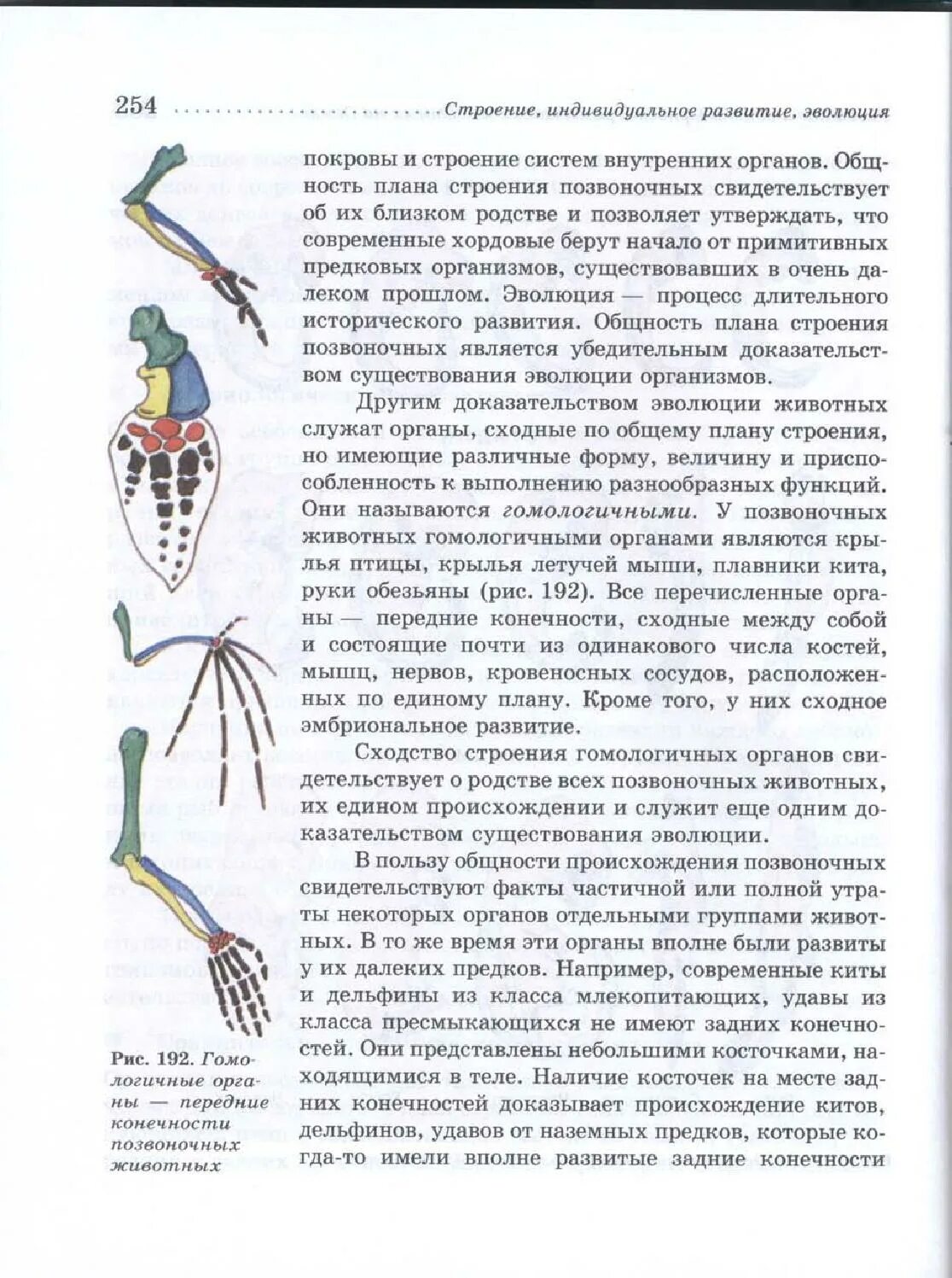 Тест эволюция строения. Строение конечностей наземных позвоночных. Конечность птицы гомологическими. Передние конечности птиц. Гомологичные конечности позвоночных.