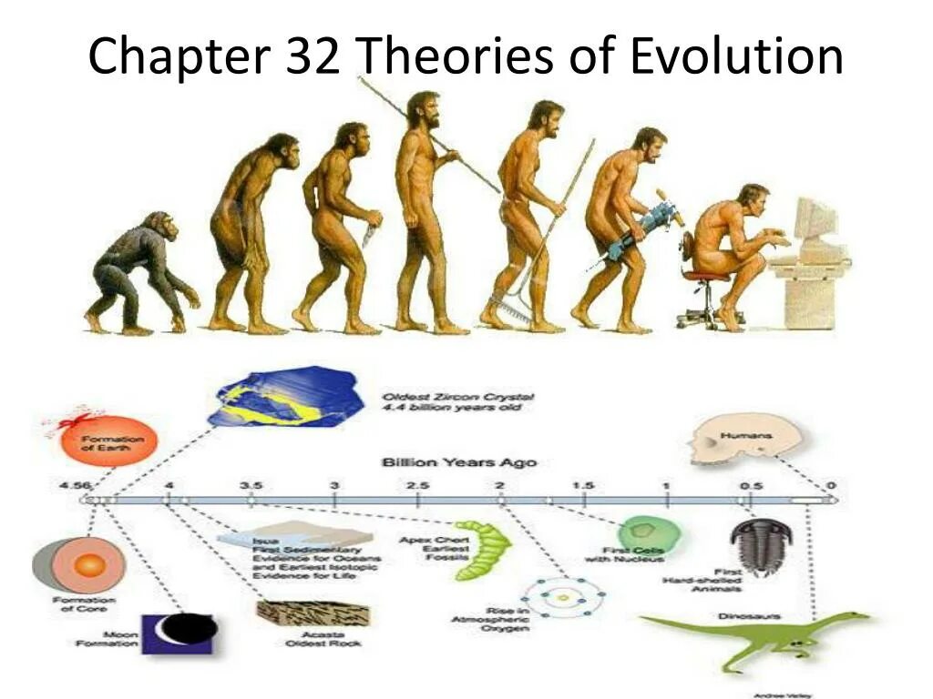 Теория эволюции. Эволюция Дарвина. Darwin Theory of Evolution. Эволюция видна