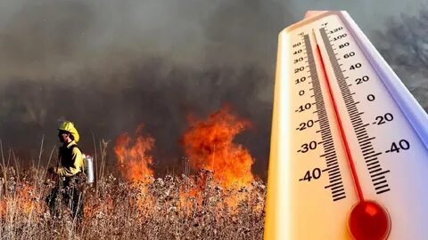 Шорттағы порно