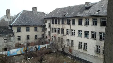 Поселок зеленое калининградская область