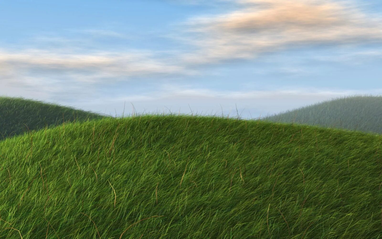 Холм с травой. Холмик с травой. Небольшой холм. Трава поле. Поверхность стационарная